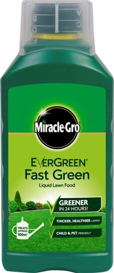 Miracle-Gro-Evergreen-Fast-Green