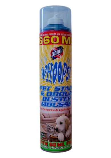 Xanto-Vamoosh-Pet-Stain--Odour-Buster-Mousse