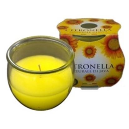 Prices-Candles-Citronella-Jar-In-Cluster-Pack