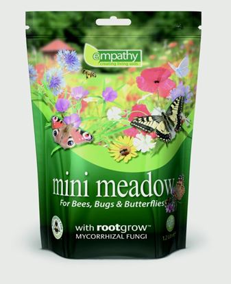Empathy-Mini-Meadow-Flower-Seed-With-Rootgrow