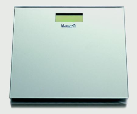 Picture for category Digital Bathroom Scales