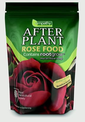 Empathy-After-Plant-Rose-Food-With-Rootgrow