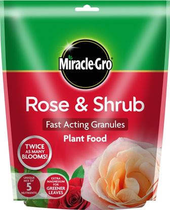 Miracle-Gro-Rose--Shrub-Plant-Food