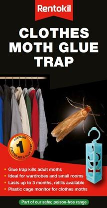 Rentokil-Clothes-Moth-Glue-Trap