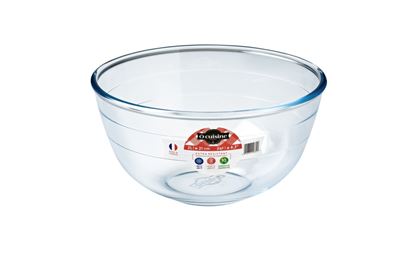 Ocuisine-Glass-Bowl