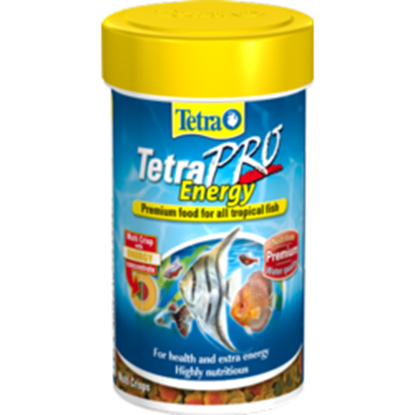 Tetra-Tetrapro-Energy