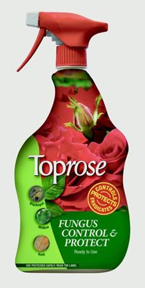 Toprose-Fungus-Control--Protect