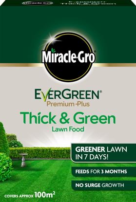 Miracle-Gro-Evergreen-Premium-Plus-Thick--Green