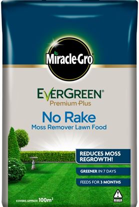 Miracle-Gro-Evergreen-No-Rake-Moss-Remover