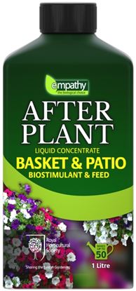 Empathy-After-Plant-Basket--Patio