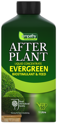Empathy-After-Plant-Evergreens