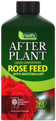 Empathy-After-Plant-Rose-Feed