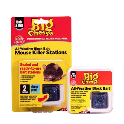 The-Big-Cheese-Mouse-Killer-Stations