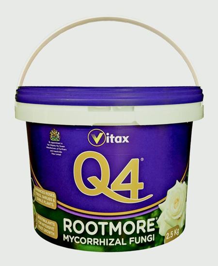 Vitax-Q4-Rootmore