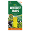 Vitax-Whitefly-Traps