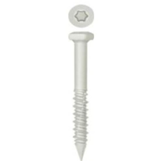 Rawlplug-Screw-For-Concrete-T25-Drive