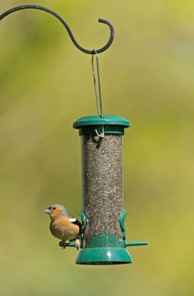 Rspb-Small-Easy-Clean-Nyjer-Seed-Feeder
