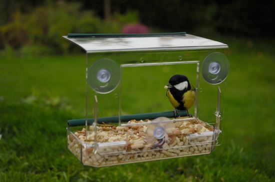 Rspb-Window-Feeder