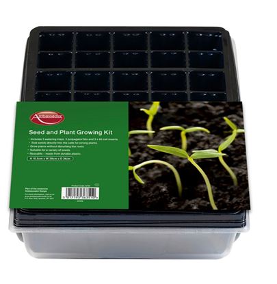 Ambassador-Seed--Plant-Growing-Kit