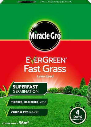 Miracle-Gro-Fast-Grass-Seed