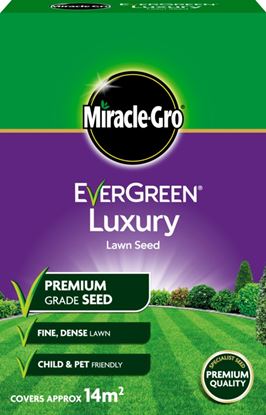Miracle-Gro-Luxury-Lawn-Seed