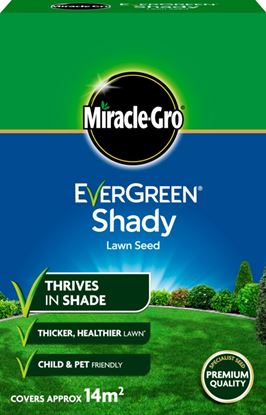 Miracle-Gro-Shady-Lawn-Seed