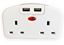 Lyvia-European-To-UK-2-Gang-Socket-With-2-USBs