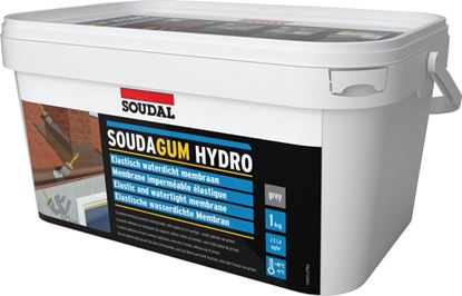 Soudal-Soudagum-Hydro-Waterproof-Coating-Kit