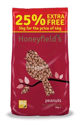 Honeyfields-Peanuts