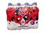 Perfectly-Clear-Summer-Fruit-Water