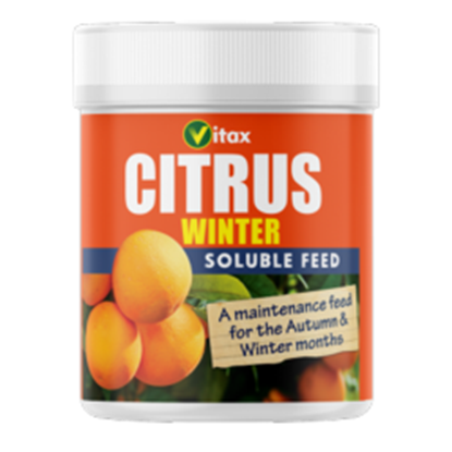 Vitax-Citrus-Winter-Feed