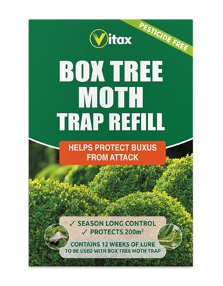Vitax-Buxus-Moth-Trap-Refill