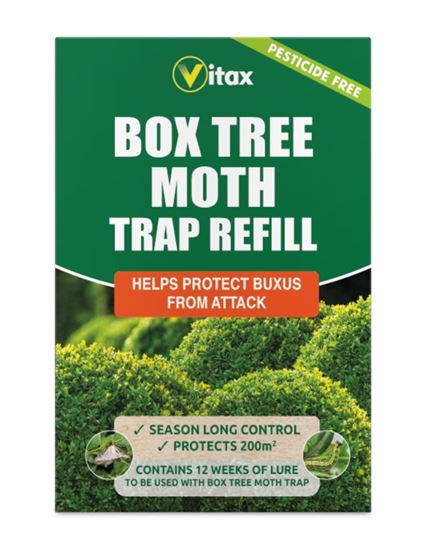 Vitax-Buxus-Moth-Trap-Refill