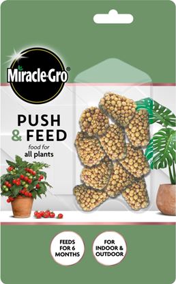 Miracle-Gro-Push--Feed