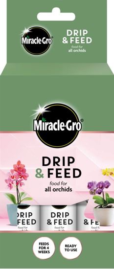 Miracle-Gro-Drip--Feed-Orchid