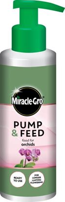 Miracle-Gro-Pump--Feed-Orchid
