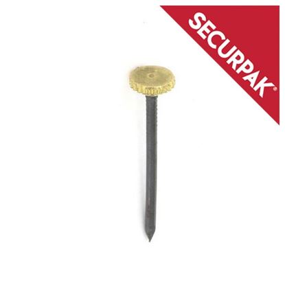Securpak-Brass-Headed-Picture-Pins