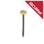 Securpak-Brass-Headed-Picture-Pins