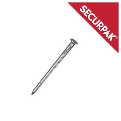 Securpak-Round-Nails-Bright-160g