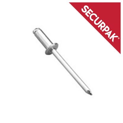 Securpak-Domehead-Aluminium--Steel-Rivets