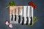Viners-Assure-Santoku-Knife