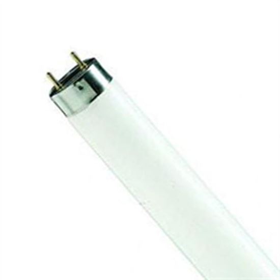 Philips-Triphosphor-Tube-840-6ft-G13