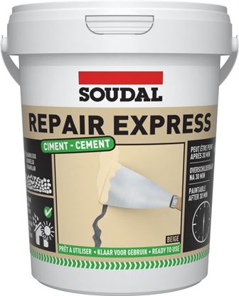 Soudal-Repair-Express-Cement