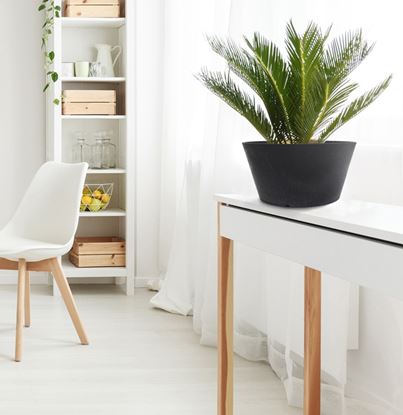 Primeur-Octavia-Planter