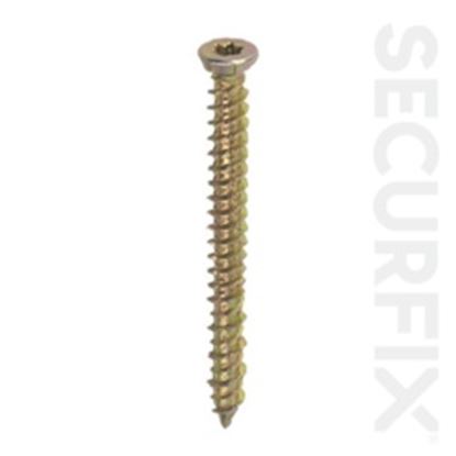 Securfix-Trade-Pack-Concrete-Frame-Screw