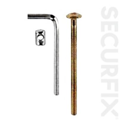 Securfix-Trade-Pack-Furniture-Bolt-M6X100mm