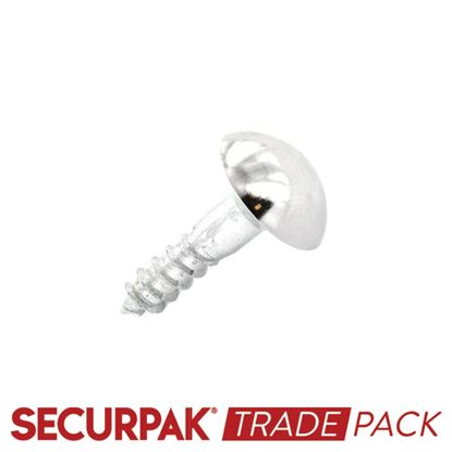 Securpak-Trade-Pack-Mirror-Screw-Cp-Head-32mm