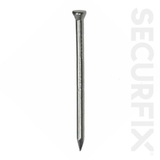Securfix-Trade-Pack-Panel-Pins-Bright-38mm