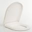 Blue-Canyon-D-Shape-Plastic-Toilet-Seat