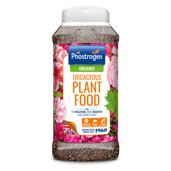 Phostrogen-Ericaceous-Plant-Food